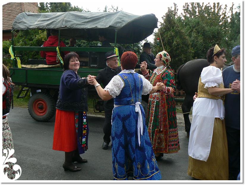 Szuret Felv es Bal_218